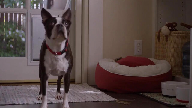 hardcore my frnd fuck