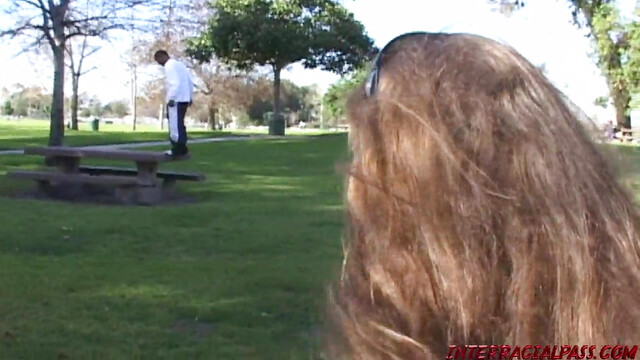 Girl from park takes 2 black cocks